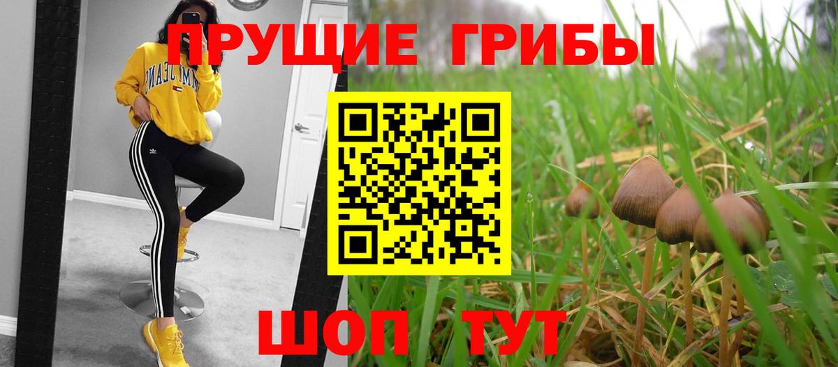 Псилоцибиновые грибы Magic Shrooms Грязи